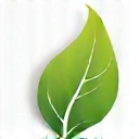 Icona foglia - Natura e purezza